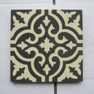 Gạch bông CTS 1.x